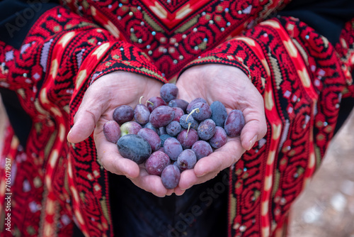 Palestinian female holding heep of olives in her hands photo