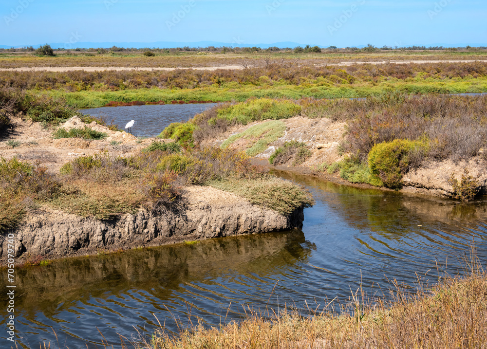 The Camargue is a nature reserve - alluvial plain in Provence in the south of France. Image of an arid landscape in autumn The Camargue is a nature reserve - alluvial plain in Provence in the south of France. Image of an arid landscape in autumn