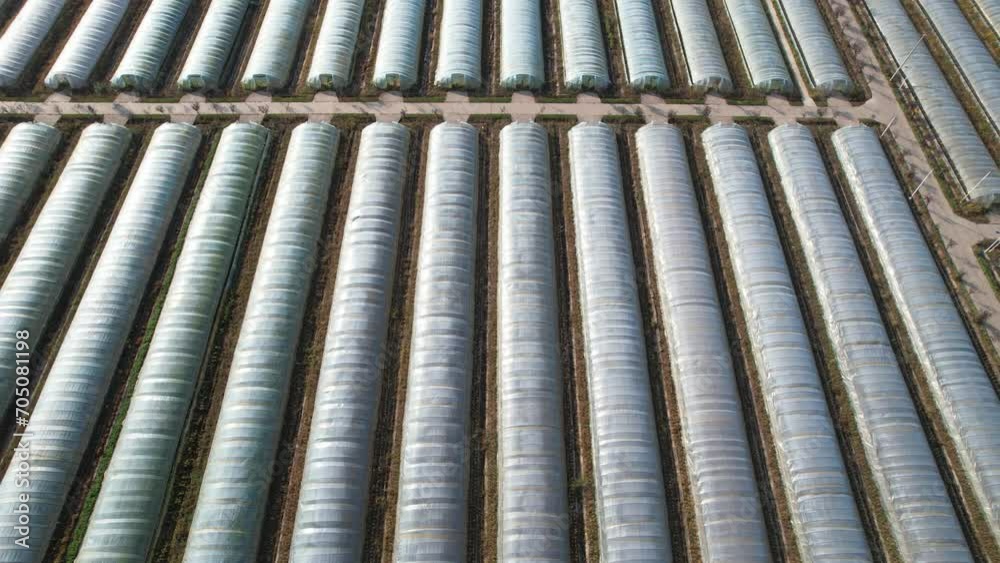 plastic greenhouse in field