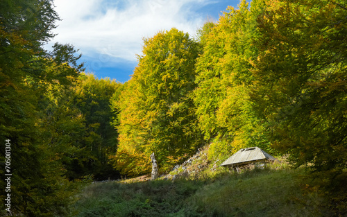 A wooden sheepfold in a beautiful pasture, surrounded by beech forests. Autumn season. The cabin is located in a glade surrounded bu autumn colored trees. Buila, Carpathia, Romania.
