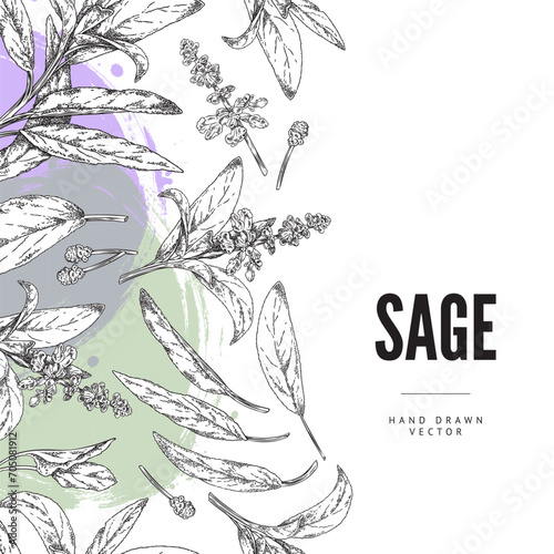 Hand drawn monochrome seamless border with sage leaves and flower