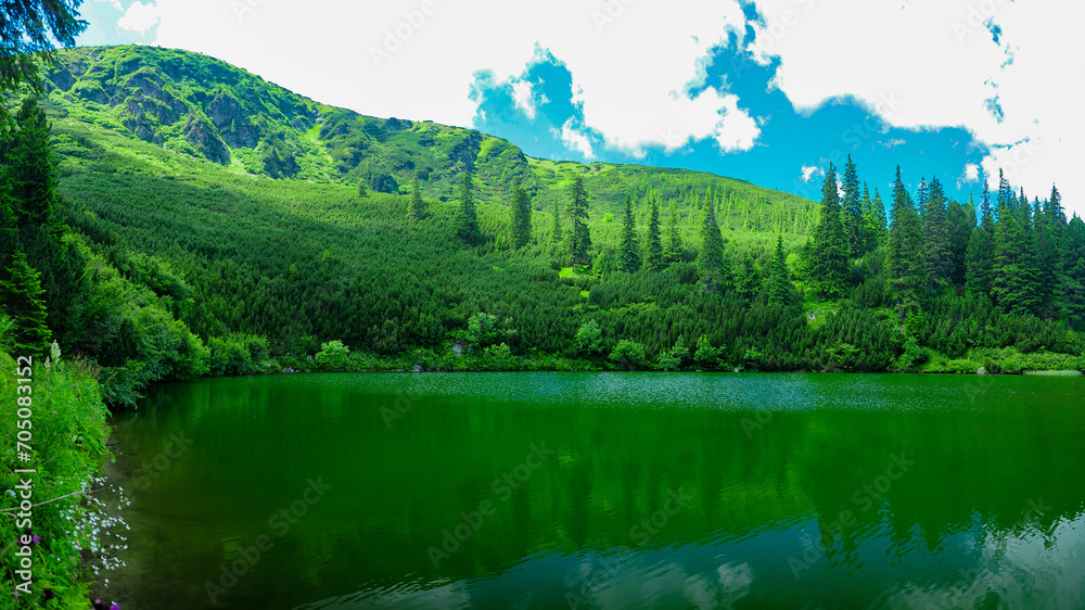 Alpine panorama with Iezerul Sureanu Glacier. The lake is located into a high altitude pasture were mountain pines grow abundantly. Several spruce trees are rising from the bushes. Carpathia, Romania Alpine panorama with Iezerul Sureanu Glacier. The lake is located into a high altitude pasture were mountain pines grow abundantly. Several spruce trees are rising from the bushes. Carpathia, Romania