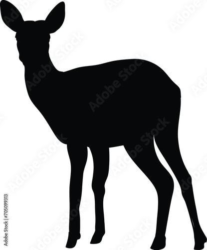 HI