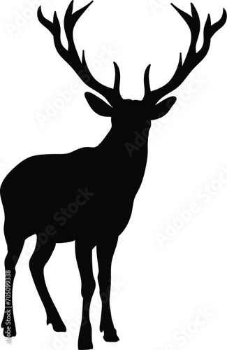 HI