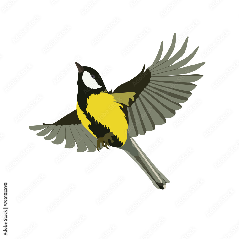 Obraz premium Vector illustration of a feathered titmouse character.