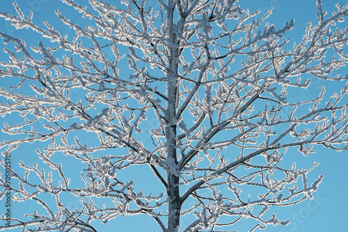 Winter time in the cultural landscape of Toten, Norway, in January. Image shot in the area between Kolbu Church and Gardlausstua. photo