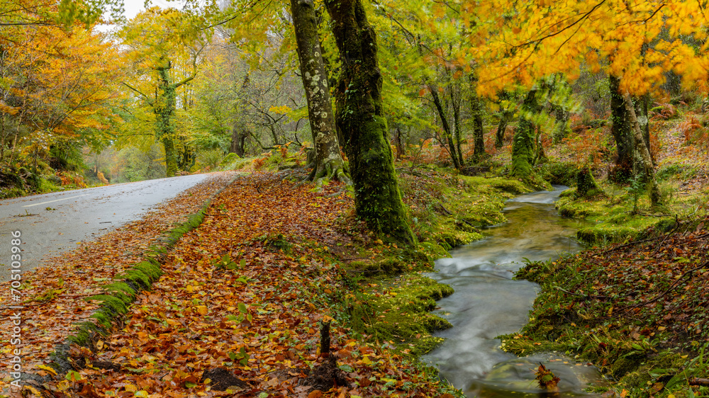 Fototapeta premium Autumn landscape at Geres National Park