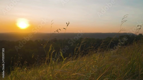 Grass on hill of sunrise sky background view