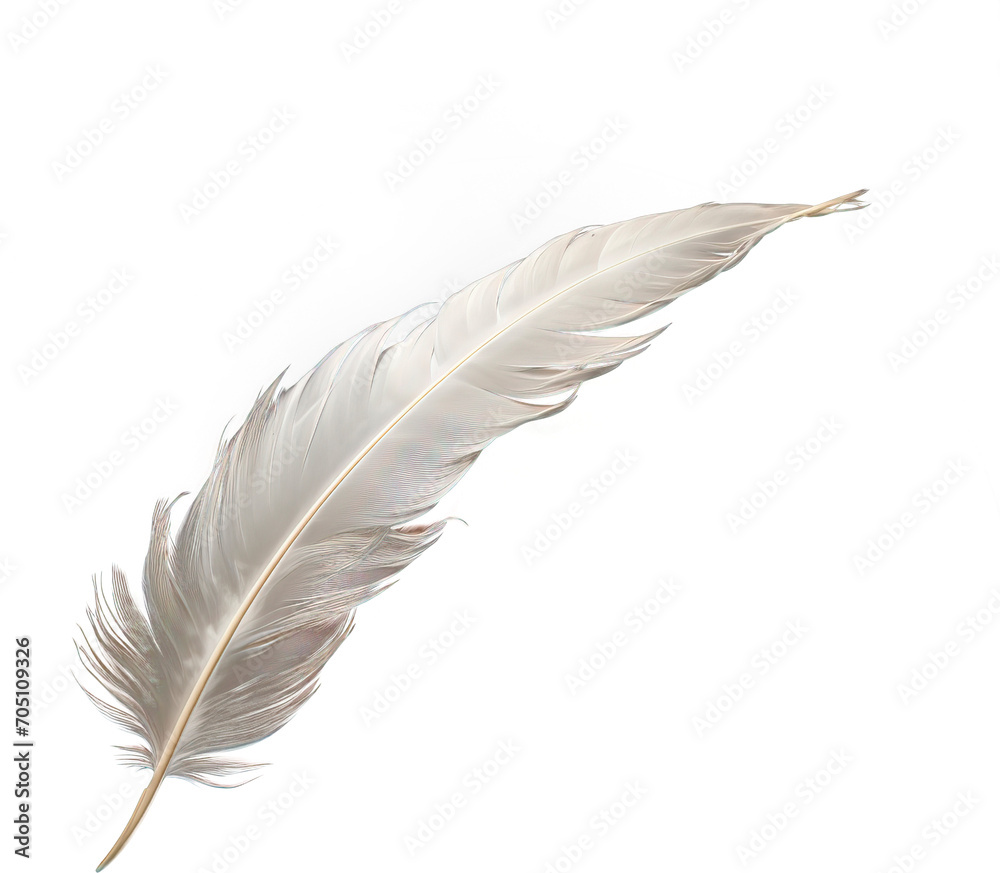 Feather isolated on transparent background. PNG Feather isolated on transparent background. PNG