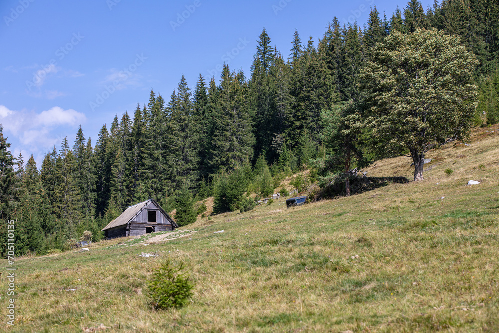 Landscape of the Ukrainian Carpathians against the sky with clouds in summer