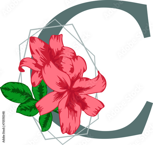 Stylized typography with capital letter C isolated monogram design element and floral decoration