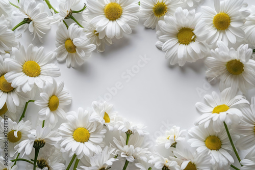 Abundant White Space Framed By Daisies On A White Background © Anastasiia