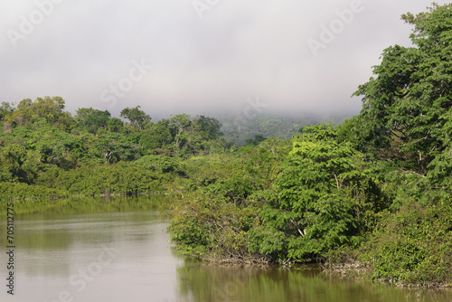 Morning fog on the Amana River  an Amazon tributary  Amazonas state  Brazil