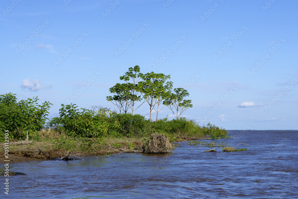 Flooded forest on the Itapicuru laguna, Para state, Brazil