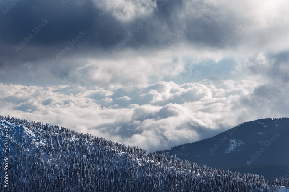 © PawelUchorczak - A beautiful winter in the Karkonosze Mountains, heavy snowfall created an amazing climate in the mountains. Poland, Lower Silesia Voivodeship.