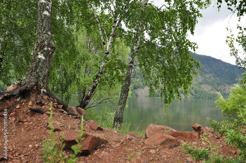Nad rzeką Jenisej, Rosja, Syberia
