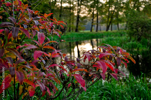 Park z kościołem, klasztor, Rudy Raciborskie, Polska, jezioro, wieża, zachód słońca