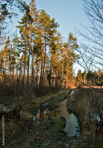 Jesień w Polsce. Las, park, jezioro. Drzewa pokryte kolorowymi liśćmi.