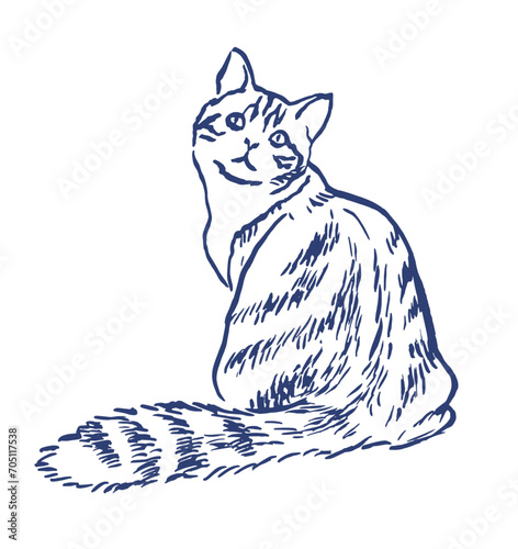 Hand drawn vector  cat  illustration, pets ,fluffy cat , tabby cat , animals , sketch , cats ,line art , vector cat illustration, 