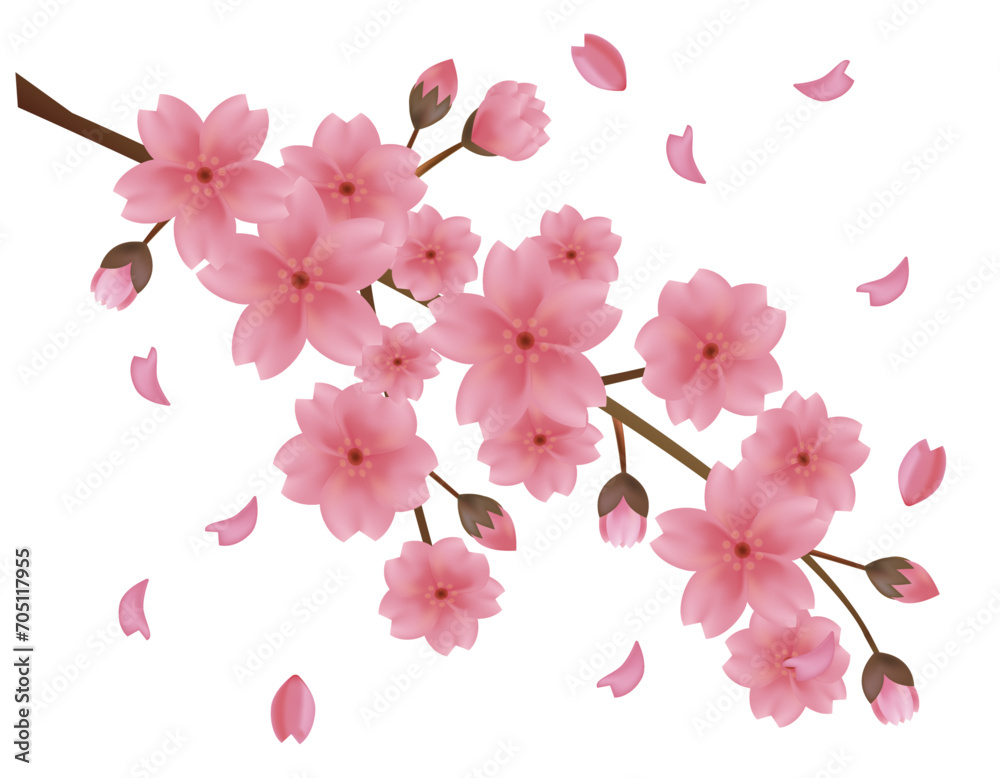 ピンクの桜のイラスト 桜の花びらのイラスト ピンクの桜のイラスト 桜の花びらのイラスト
