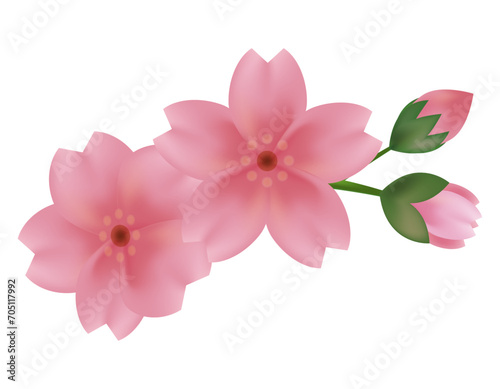 ピンクの桜のイラスト 桜の花びらのイラスト