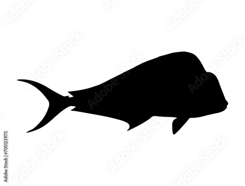 Mahi Mahi Fish silhouette vector art white background