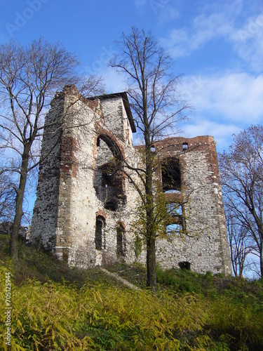 Ruiny zamku na Jurze krakowsko - częstochowskiej © Ornela