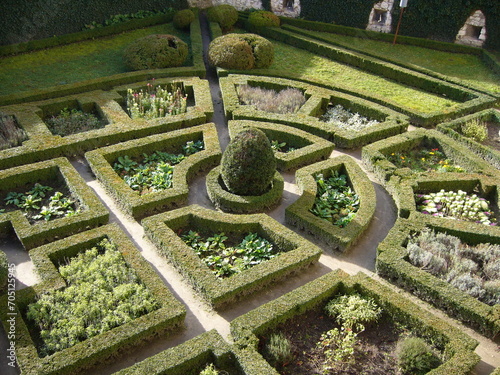 Pałacowy ogród widok z góry