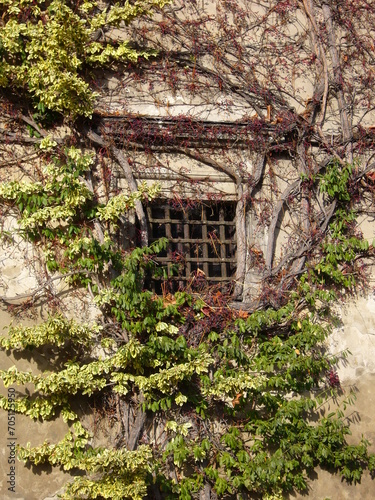 Okno w starym zamku © Ornela