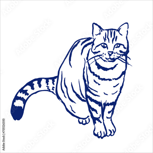 Cat , pets , tabby cat , animals , sketch , cats ,line art , cat vector illustration	