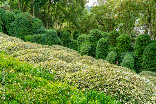 Idyllic garden scenery