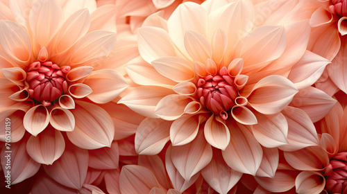 A bunch of peach fuzz flowers with a red center suitable for spring-themed designs, floral backgrounds, greeting cards, nature-themed marketing materials, and feminine product packaging.