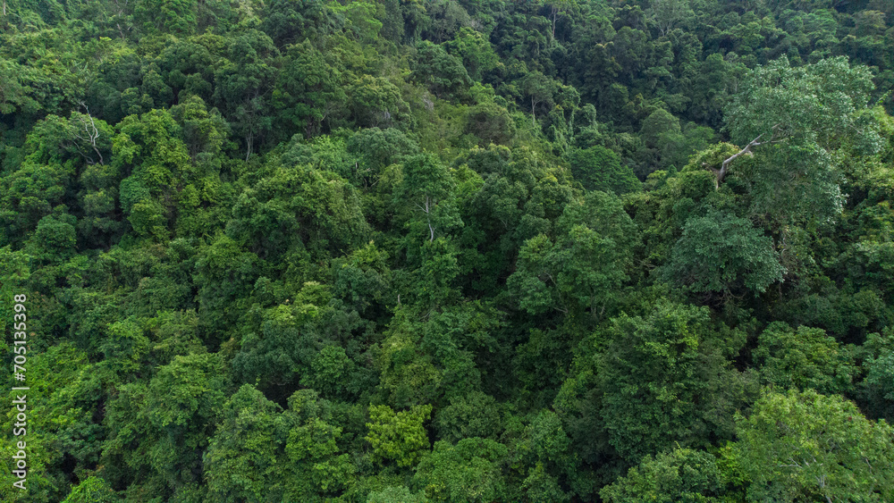 Aerial view of beautiful tropical forest in Aceh Province, Indonesia Aerial view of beautiful tropical forest in Aceh Province, Indonesia