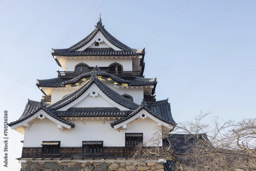 View of Hikone castle in the evening
