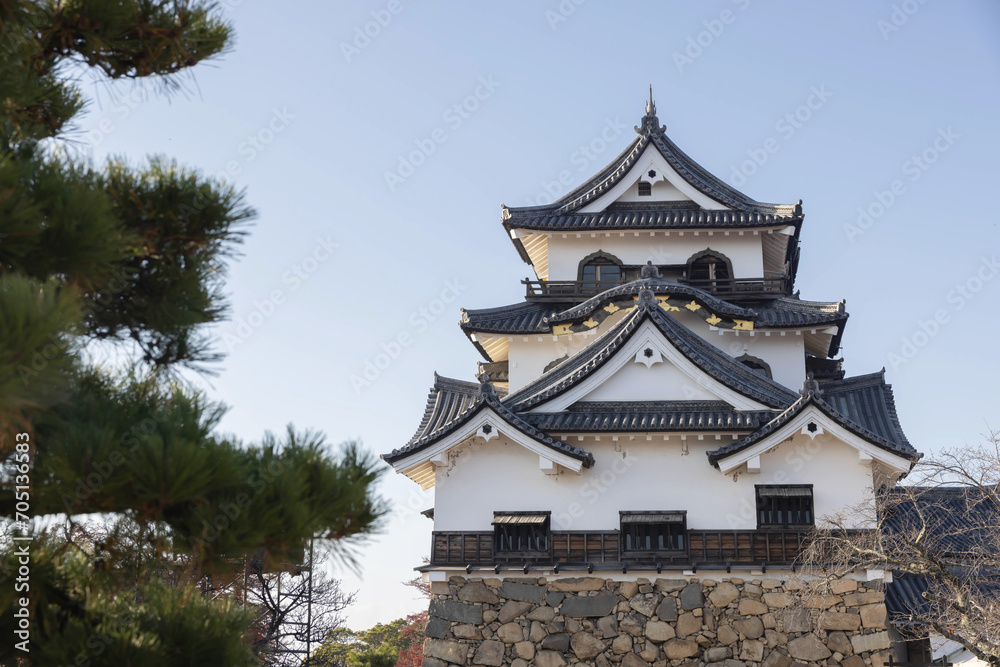 View of Hikone castle in the evening