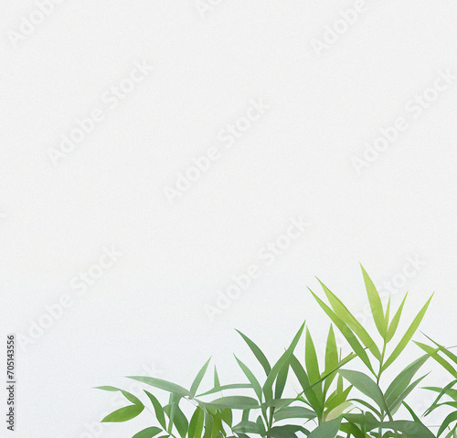 Green plant on the white background. Minimal design with copy space. Natural Template for presentation or product. Nature wallpaper. Minimalist concept. Beautiful Nature Flyer. © SuFiSa
