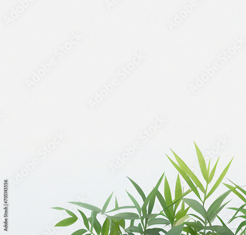 Green plant on the white background. Minimal design with copy space. Natural Template for presentation or product. Nature wallpaper. Minimalist concept. Beautiful Nature Flyer.