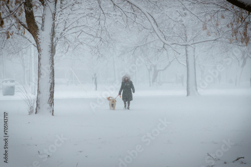 Canvas Print Snow Storm in the Park