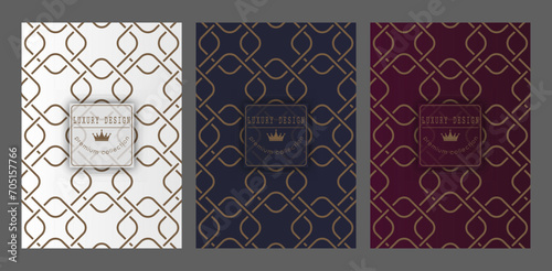 A luxurious pattern. A set of spectacular patterns for covers, prints, interior design, packaging, premium funds and creative ideas