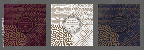 A luxurious pattern. A set of spectacular patterns for covers, prints, interior design, packaging, premium funds and creative ideas