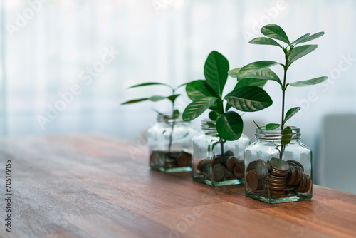 Debt-free lifestyle concept shown by money savings jar filled with coins and growing plant for sustainable financial planning for retirement or eco subsidization for environment protection. Quaint photo