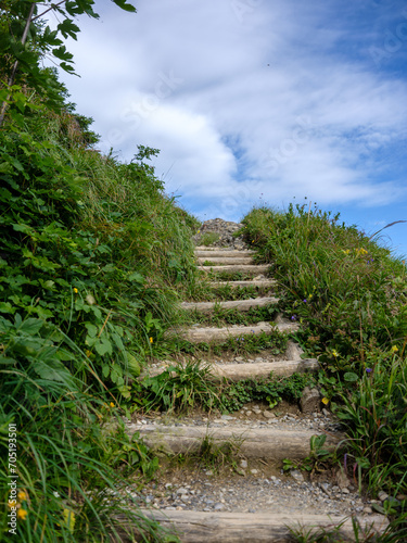 Naturtreppe aus Holz und Stein auf einem alpinen Wanderweg photo
