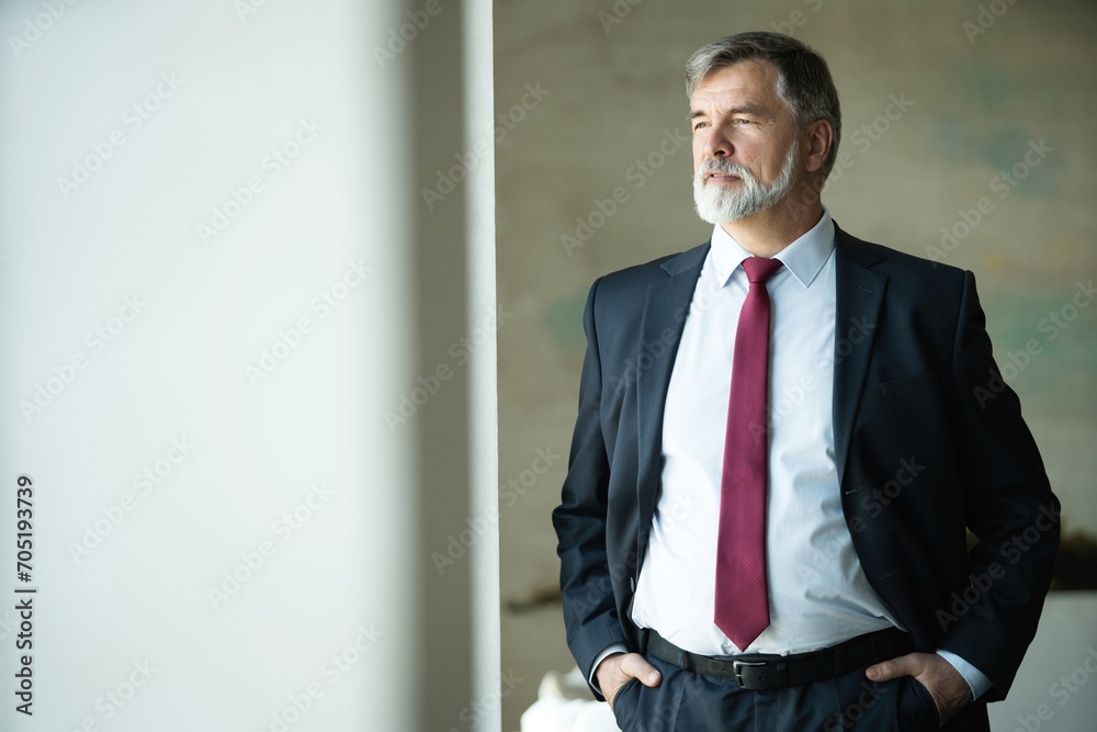 Portrait of a confident mature businessman standing in a modern office Portrait of a confident mature businessman standing in a modern office