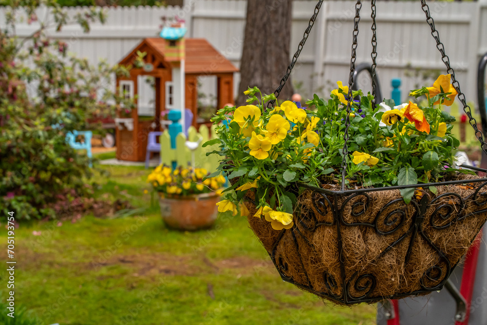 Hanging flower pot with peat moss and yellow flowers in backyard garden, the background is a garden playhouse using depth of field and white fencing. Room for text.