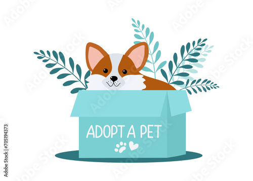 Adopt dog. Cute cartoon homeless puppy in box, on the street. Adopts pets and fosters them. Pet adoption concept. Text, inscription. Don't buy help homeless animals find home. Flat design