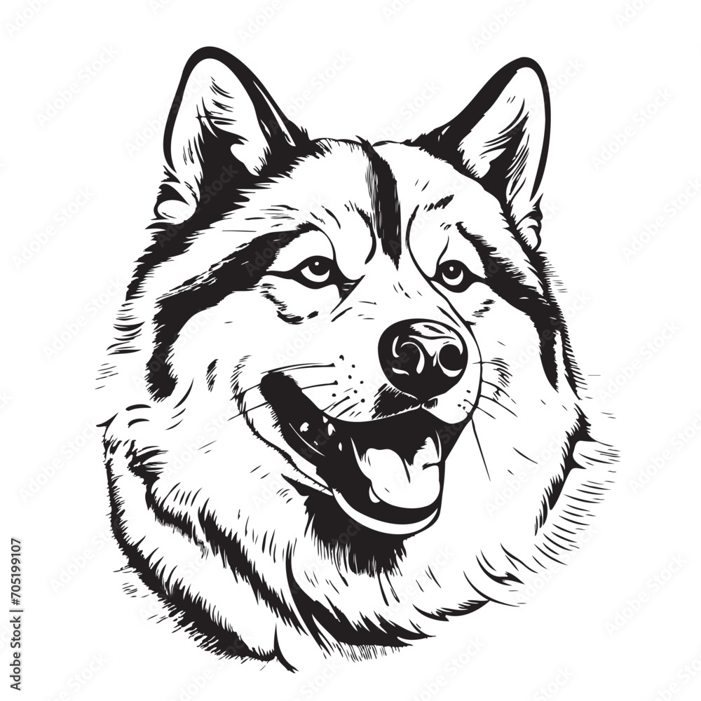 Akita dog silhouette pet character, clip art vector pets drawing black and white sketch drawing