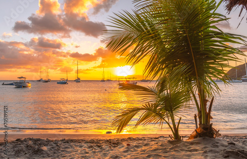 Fototapeta Naklejka Na Ścianę i Meble -  Coucher de soleil à La Grande Anse d'Arlet à La Martinique, mer des Caraïbes, Antilles Françaises.	