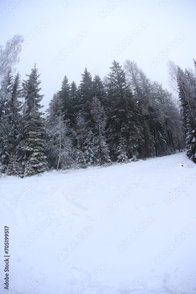 Wide angle winter shot in sudety mountains
