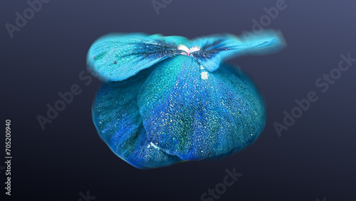 Flower on Solid Blue Background