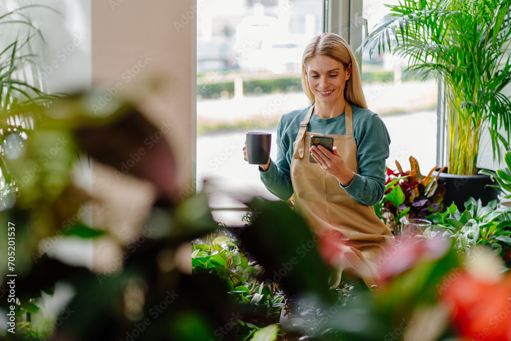 Beautiful smiling blonde middle age woman sitting with phone near window among flowers and browsing messages or websites in cell phone in interior of store with plants. - obrazy, fototapety, plakaty 